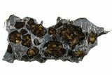 Polished Pallasite Meteorite ( g) Slice - NWA (Prov) #303835-1